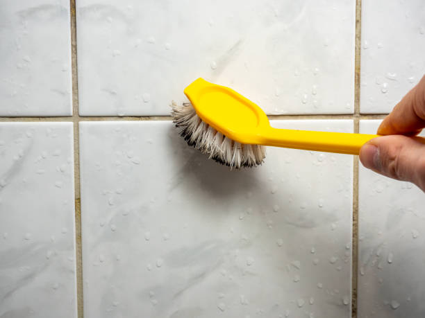 Best Post-Flood Mold Remediation in Beachwood, OH