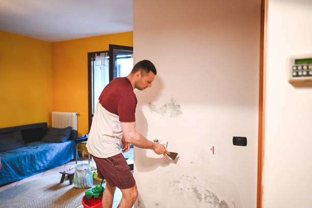 Best Residential Mold Remediation in Beachwood, OH